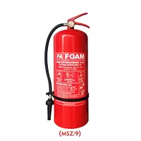Hot sale Factory price Portable 9L Foam Fire Extinguisher