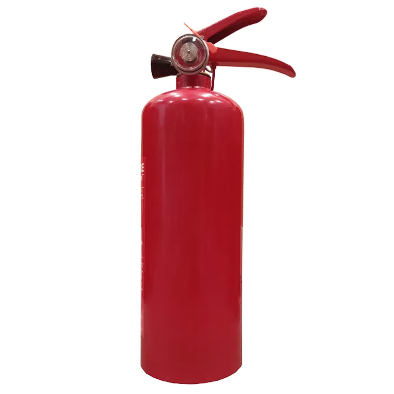 Hot sale Portable 1KG ABC Dry Chemical Powder Fire Extinguisher