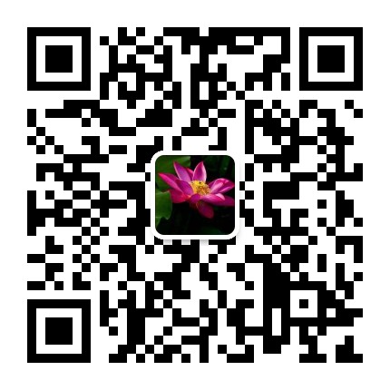 wechat qr code