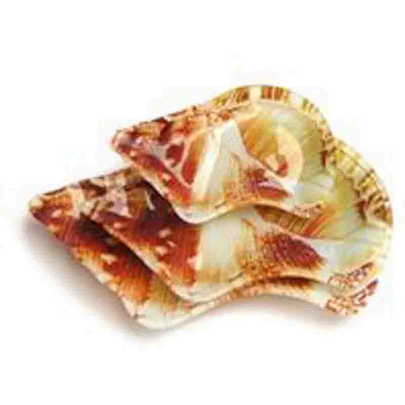 The sea animals shaped
