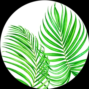 Leaves designs