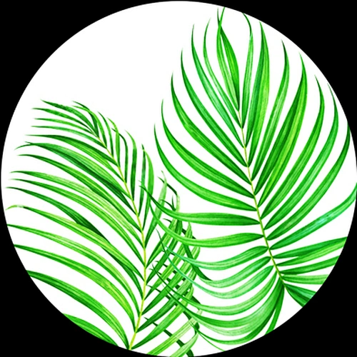 Leaves designs