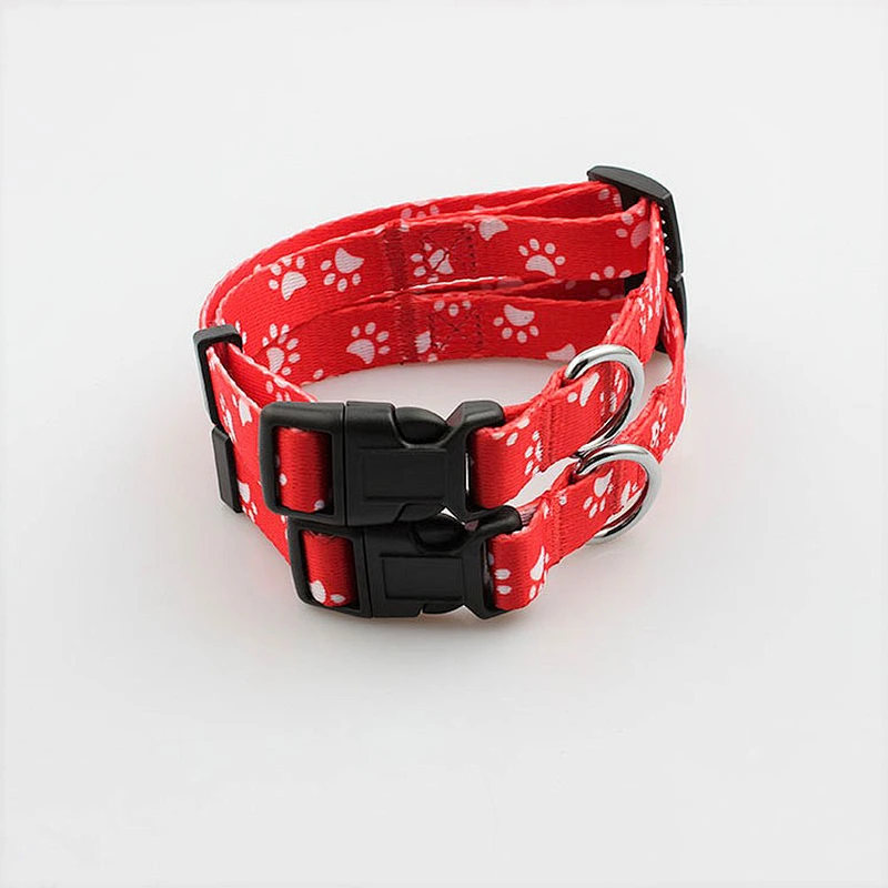 Customized logo supplies for collars and dog leash