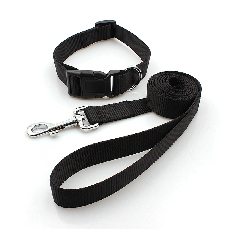 Newest Best Selling Factory Direct Dog Collars and Leashes
