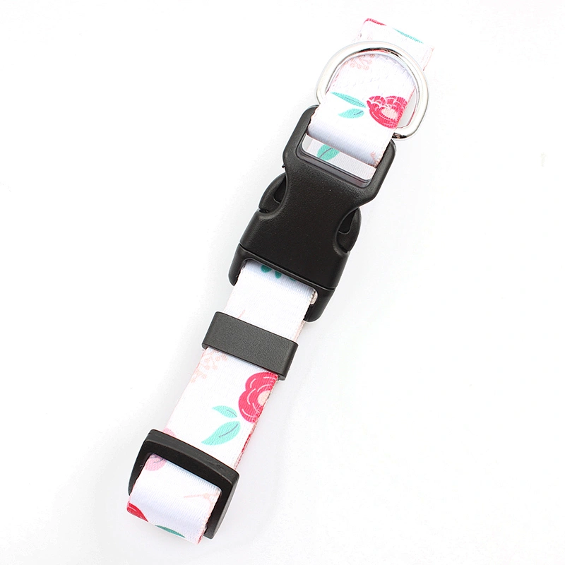 Premium quality union dog collars for event