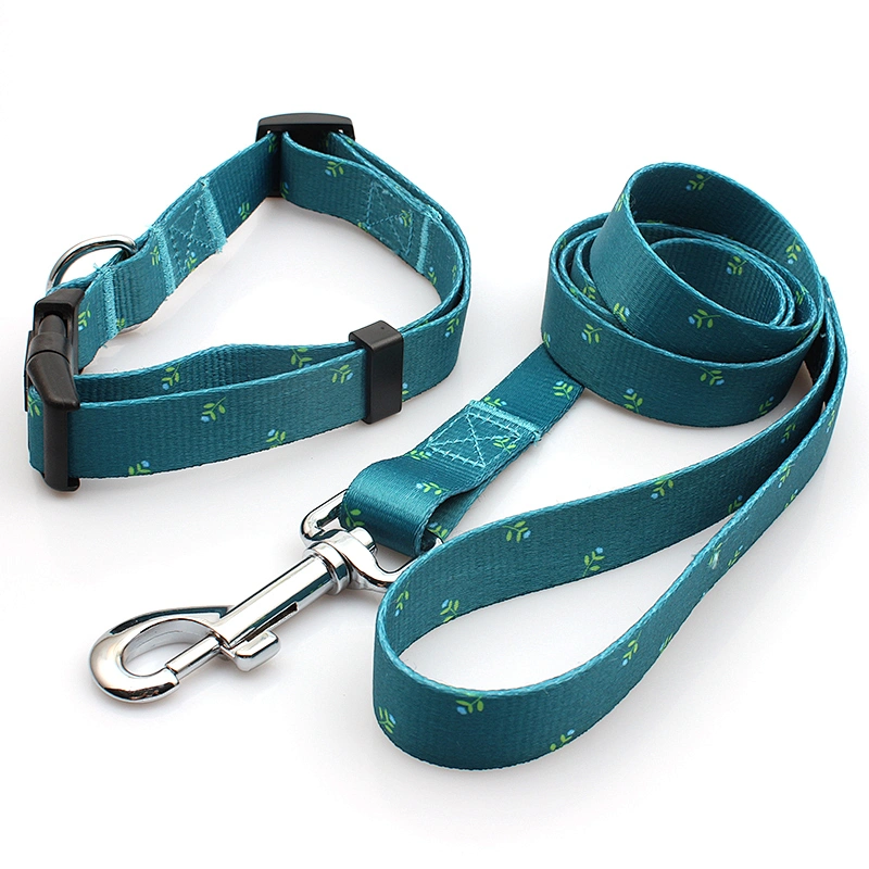 Sublimation printing pet dog collar leashes with custom design