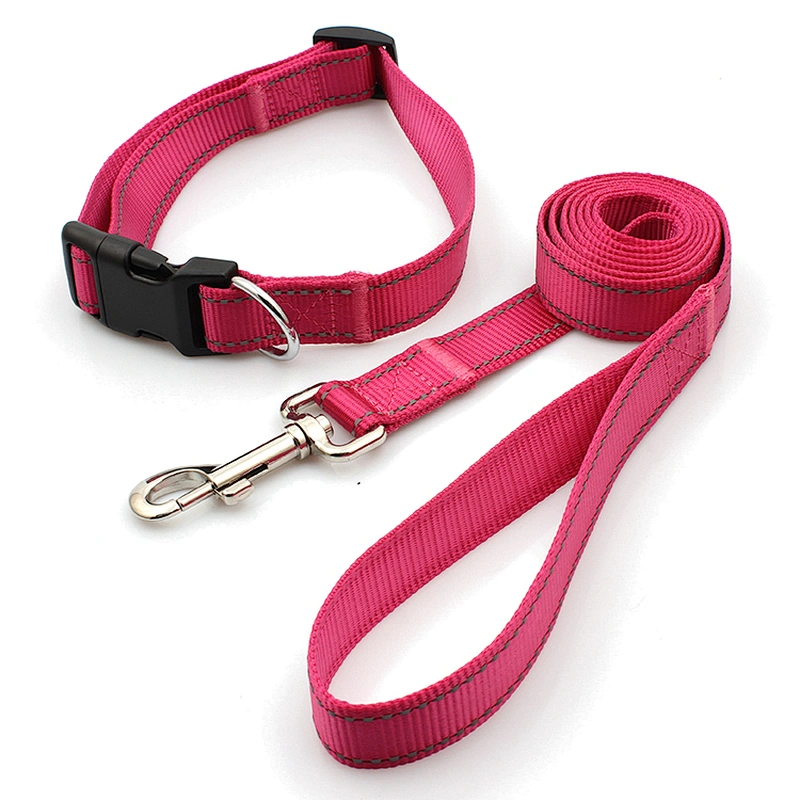 Personalized nylon reflective pink pet walking dog collar