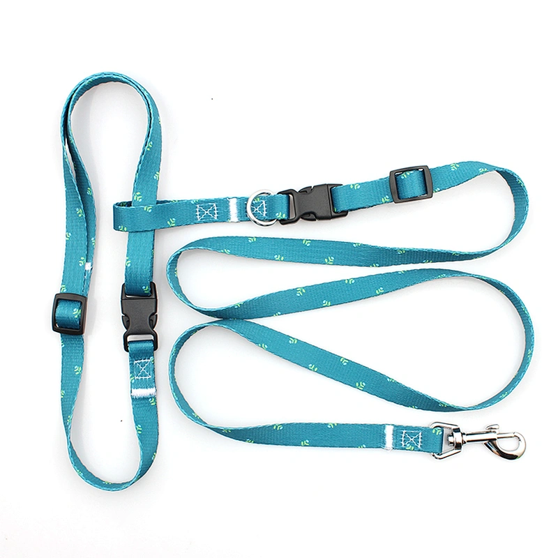 High quality custom pet show leash for big dogs