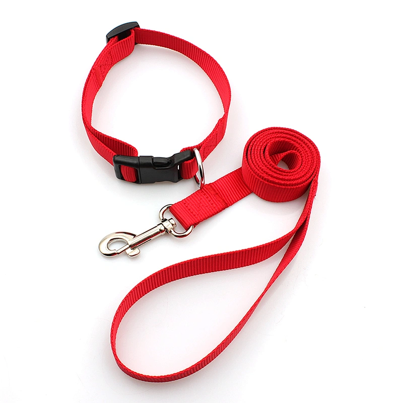 Custom logo breakaway durable nylon dog collar and leash