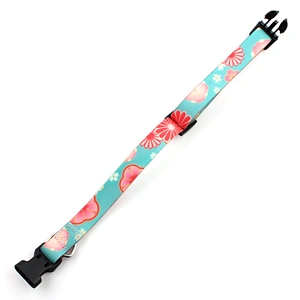 Custom PVC Waterproof Dog Collar With Quick-Release Buckle