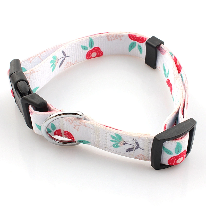 Wholesale premium padded custom design dog collars