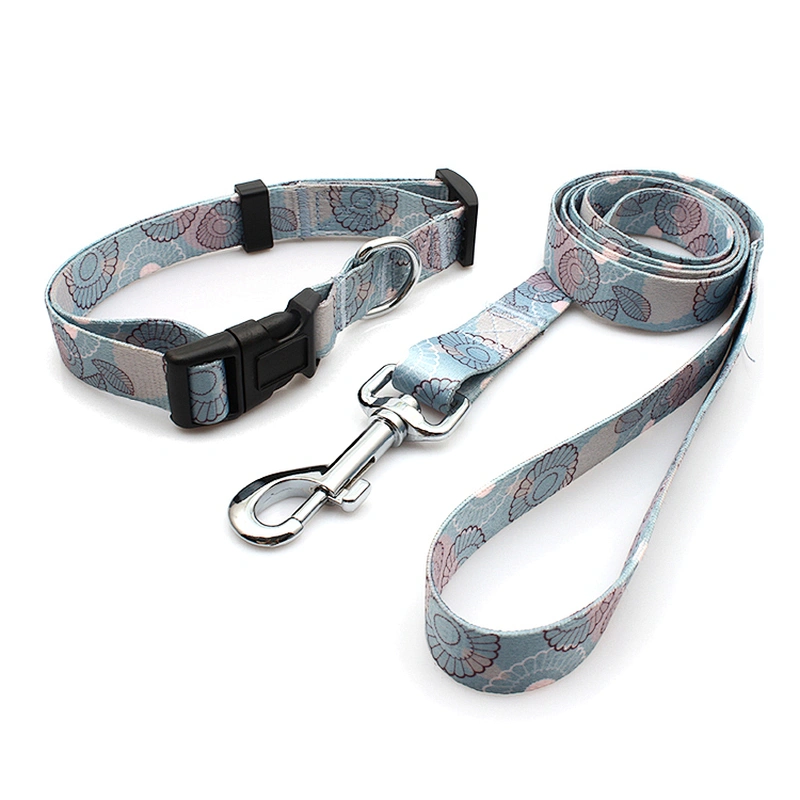 Custom Polyester Heat Transfer Printing Dog Collar and Leash Set