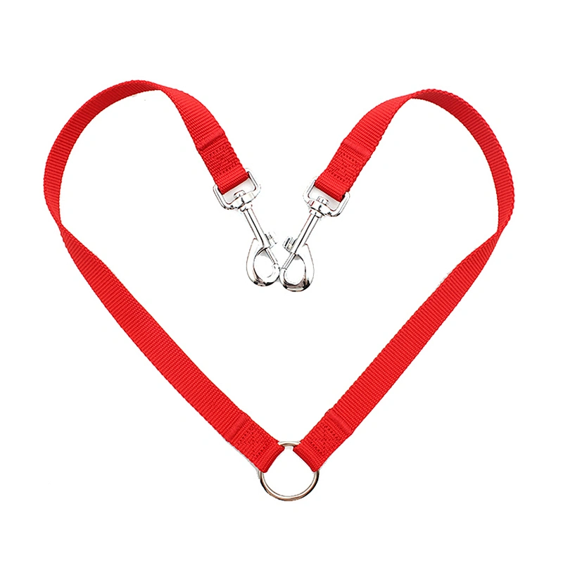 Personalized design fashion polyester dual dog leash