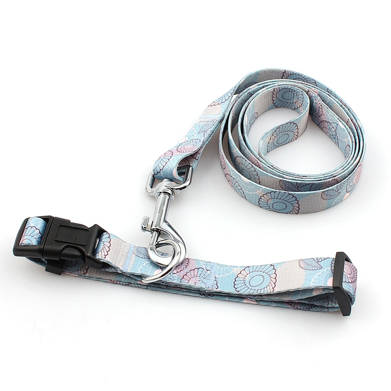 Custom Polyester Heat Transfer Printing Dog Collar and Leash Set