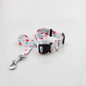 Custom Polyester Heat Transfer Printing Dog Collar and Leash Set