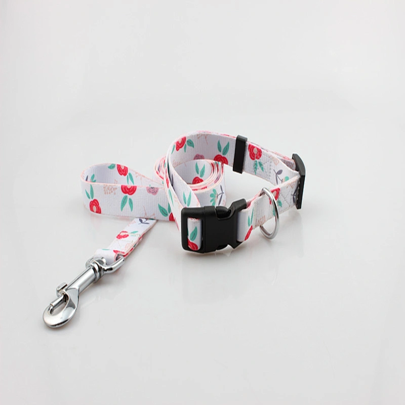 Custom Polyester Heat Transfer Printing Dog Collar and Leash Set