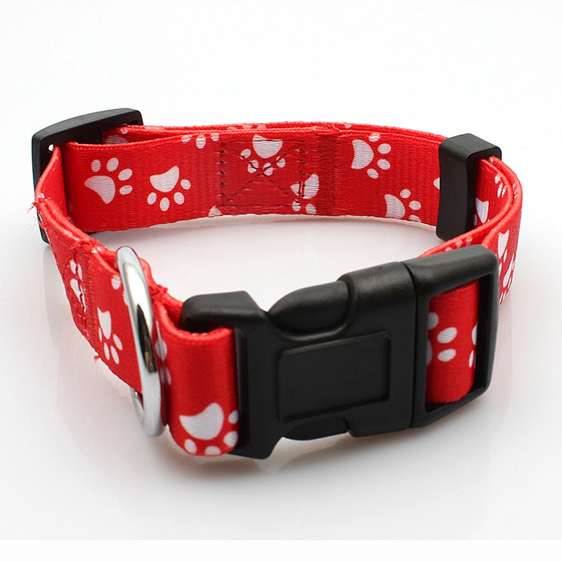 Customized logo supplies for collars and dog leash