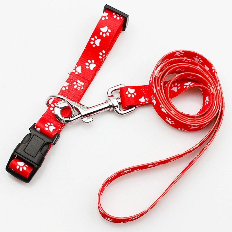 Customized logo supplies for collars and dog leash