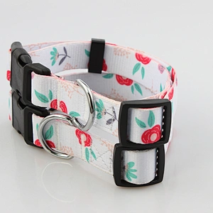 Premium quality adjustable polyester dog collar for training