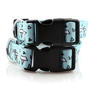 Professional Custom Coach Dog Collar in Good Quality