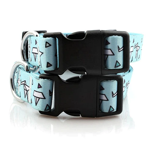 Professional Custom Coach Dog Collar in Good Quality