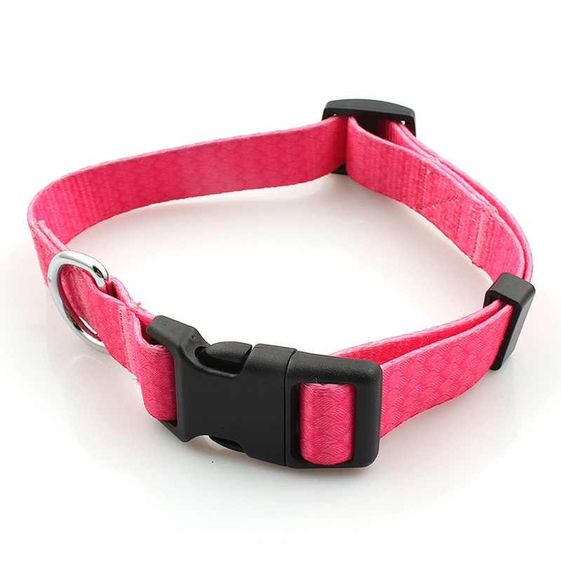 Customized heat transfer printing polyester dog collar