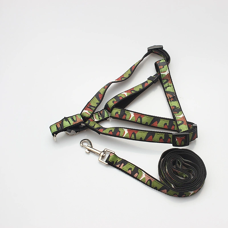 Custom recycled pet harness and leashes in China supplier