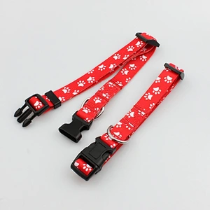 Eco-Friendly Feature And Application Dog Collar Custom