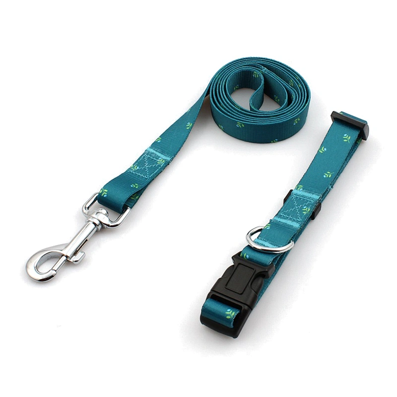 Personalized Sublimation Polyester Dog Collars and Leads