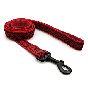 Custom pet training red webbing dog lead leash swivel hook