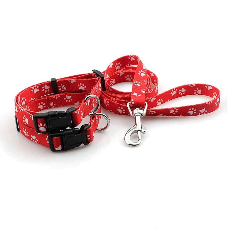 Customized logo supplies for collars and dog leash