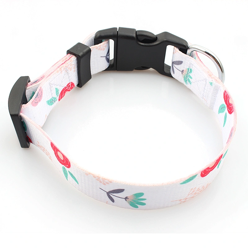 Hot selling custom stylish pet collar and dog leash