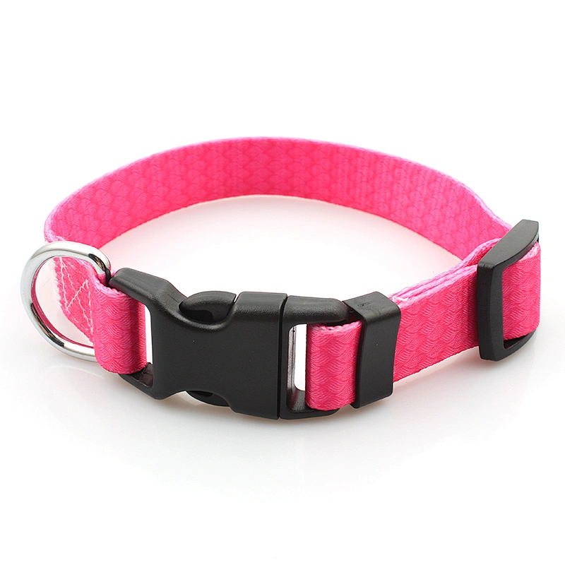 Customized heat transfer printing polyester dog collar