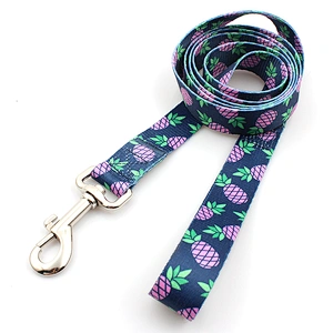 High quality wholesale out door polyester material dog leash