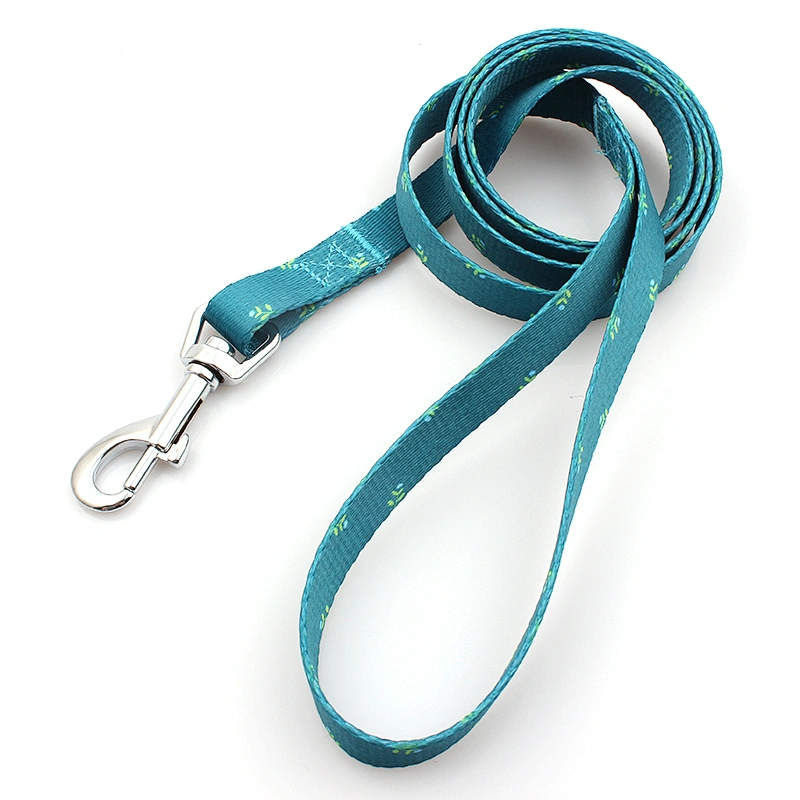 High quality custom pet show leash for big dogs