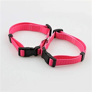 Small used plastic buckle dog training collar