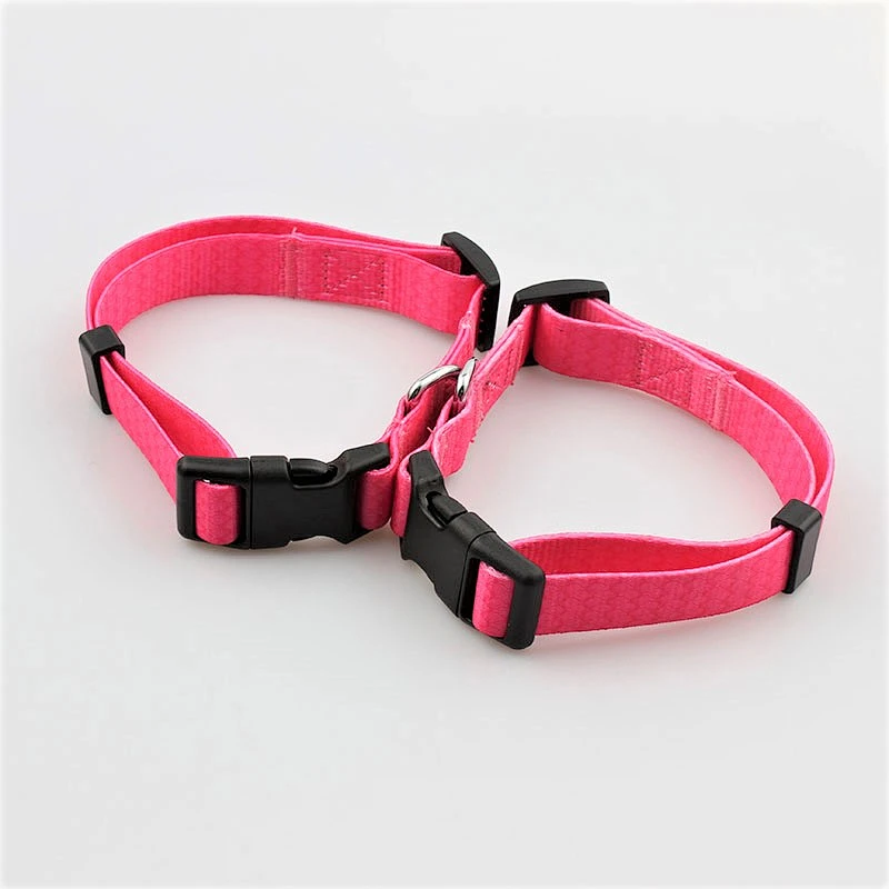 Small used plastic buckle dog training collar