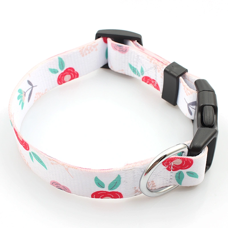 Hot selling custom stylish pet collar and dog leash