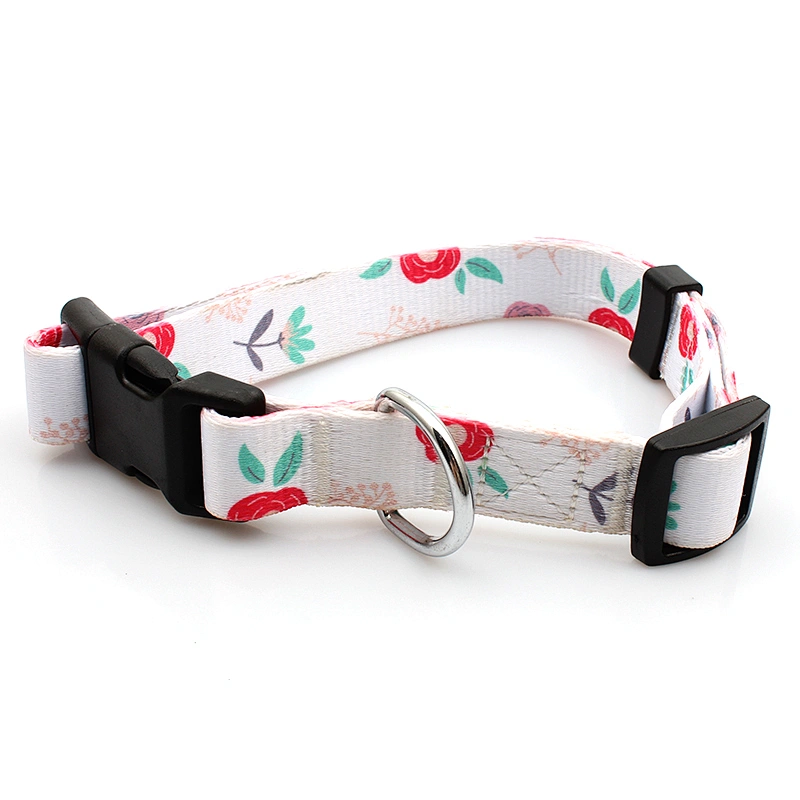 Premium quality union dog collars for event