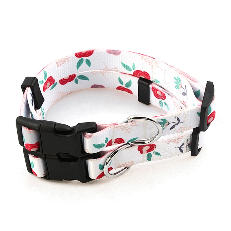 Hot selling custom stylish pet collar and dog leash