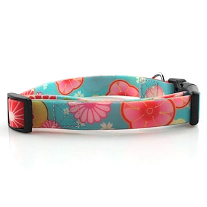 Custom PVC Waterproof Dog Collar With Quick-Release Buckle