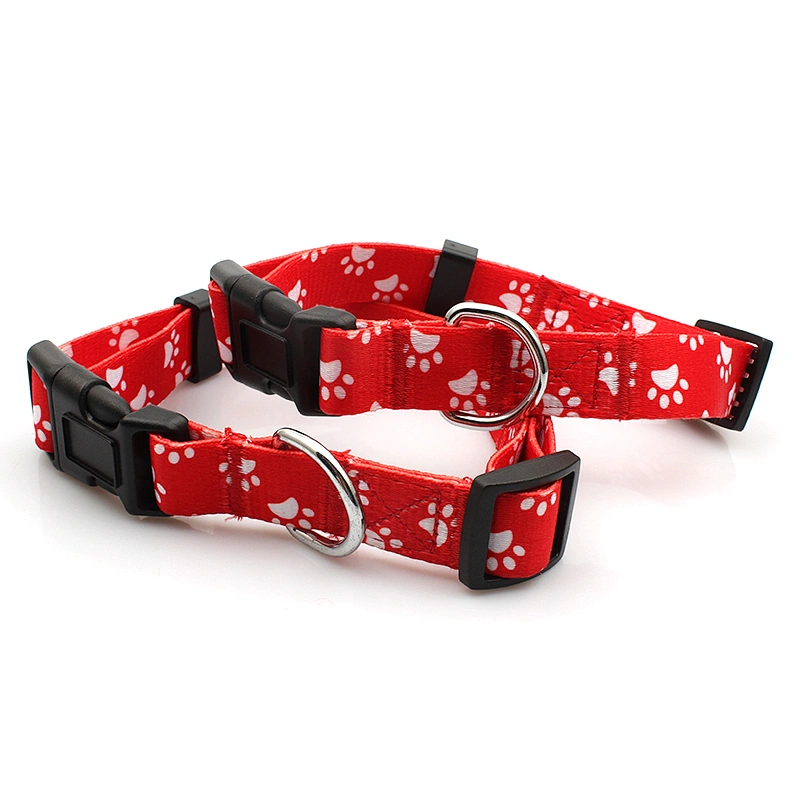 OEM Pet Suppliers Dog Collar With Adjustable Buckle for Sports