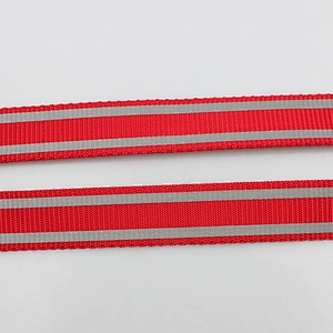 Custom pet training red webbing dog lead leash swivel hook