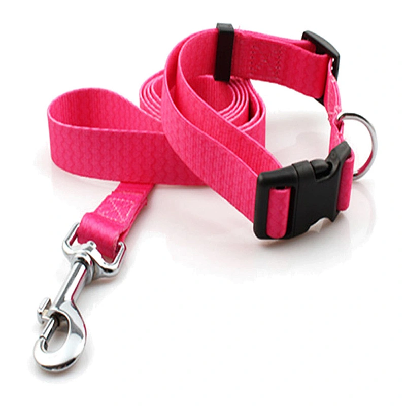 Factory Price Soft Polyester Adjustable Pet Leash and Collar Set