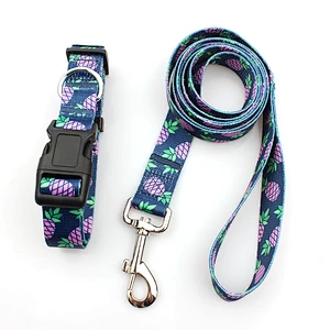 Custom Polyester Heat Transfer Printing Dog Collar and Leash Set