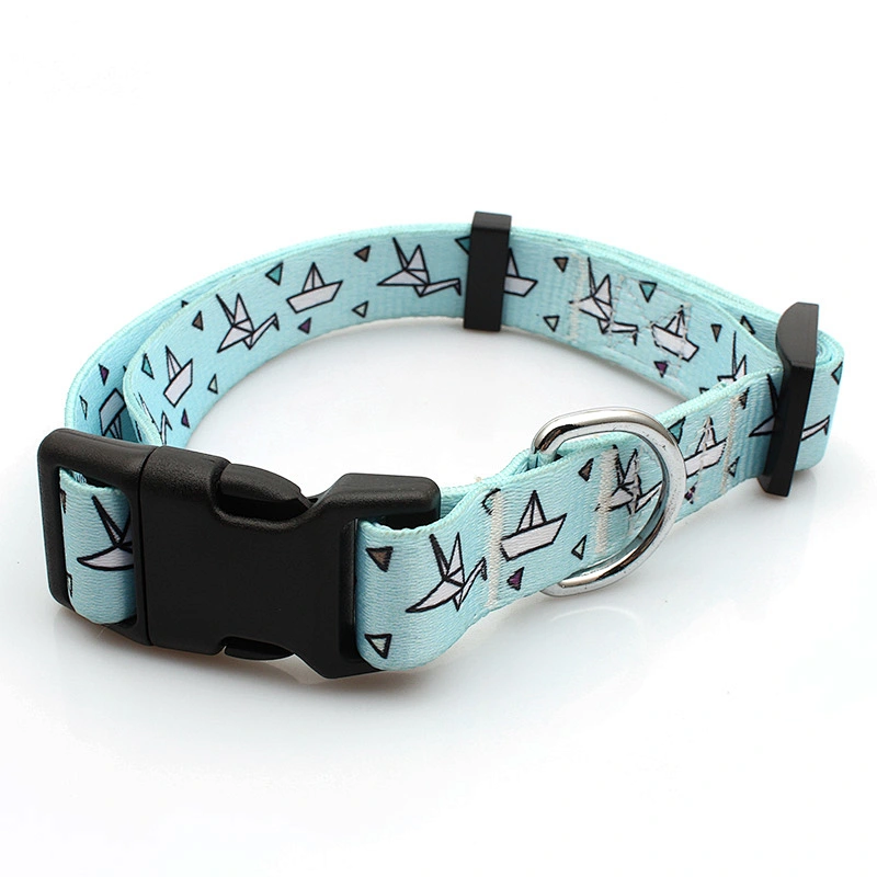 Professional Custom Coach Dog Collar in Good Quality