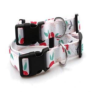 Polyester printing pet collar with breakaway buckle