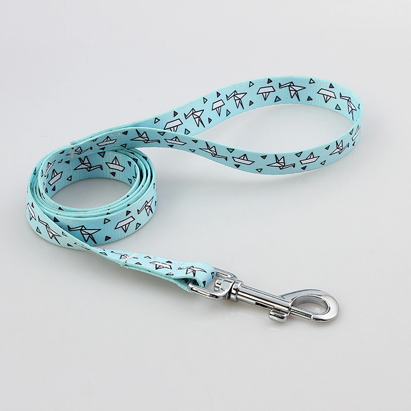 Personalized design free premium dog leash and collar sets