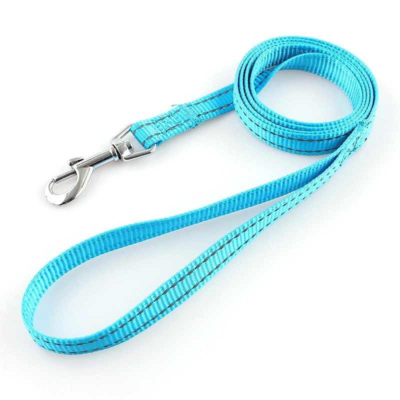 Hot sale custom solid durable nylon reflective blue dog leash