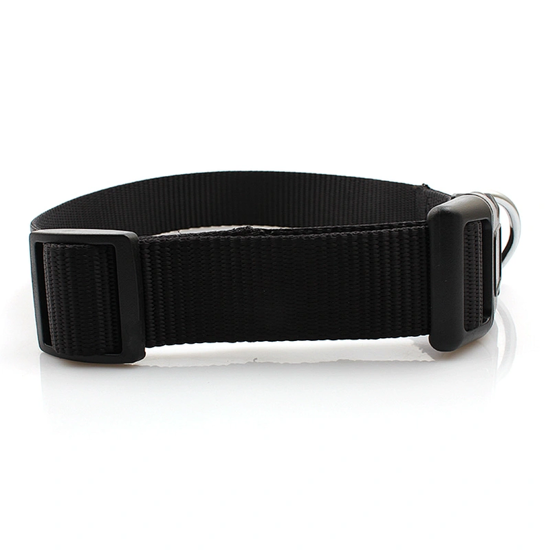 Newest Best Selling Factory Direct Dog Collars and Leashes